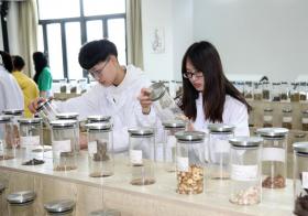 午夜十八禁在线观看在多個領域中的重要用途